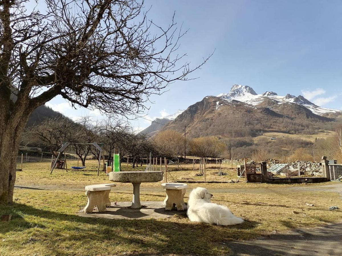 Aux D'Estaing Croises, Gite De Montagne Accessible A Tous Eksteriør billede