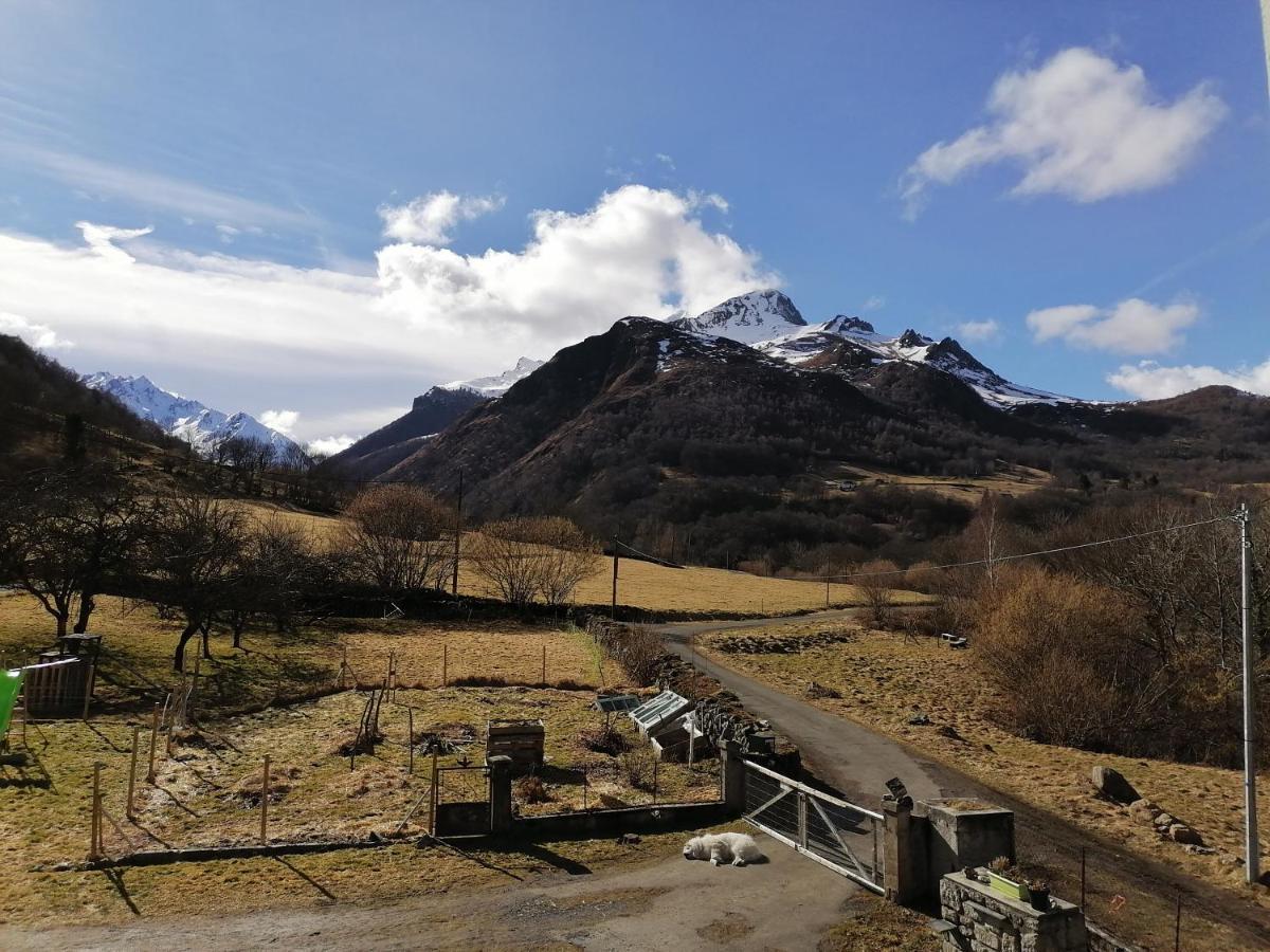 Aux D'Estaing Croises, Gite De Montagne Accessible A Tous Eksteriør billede